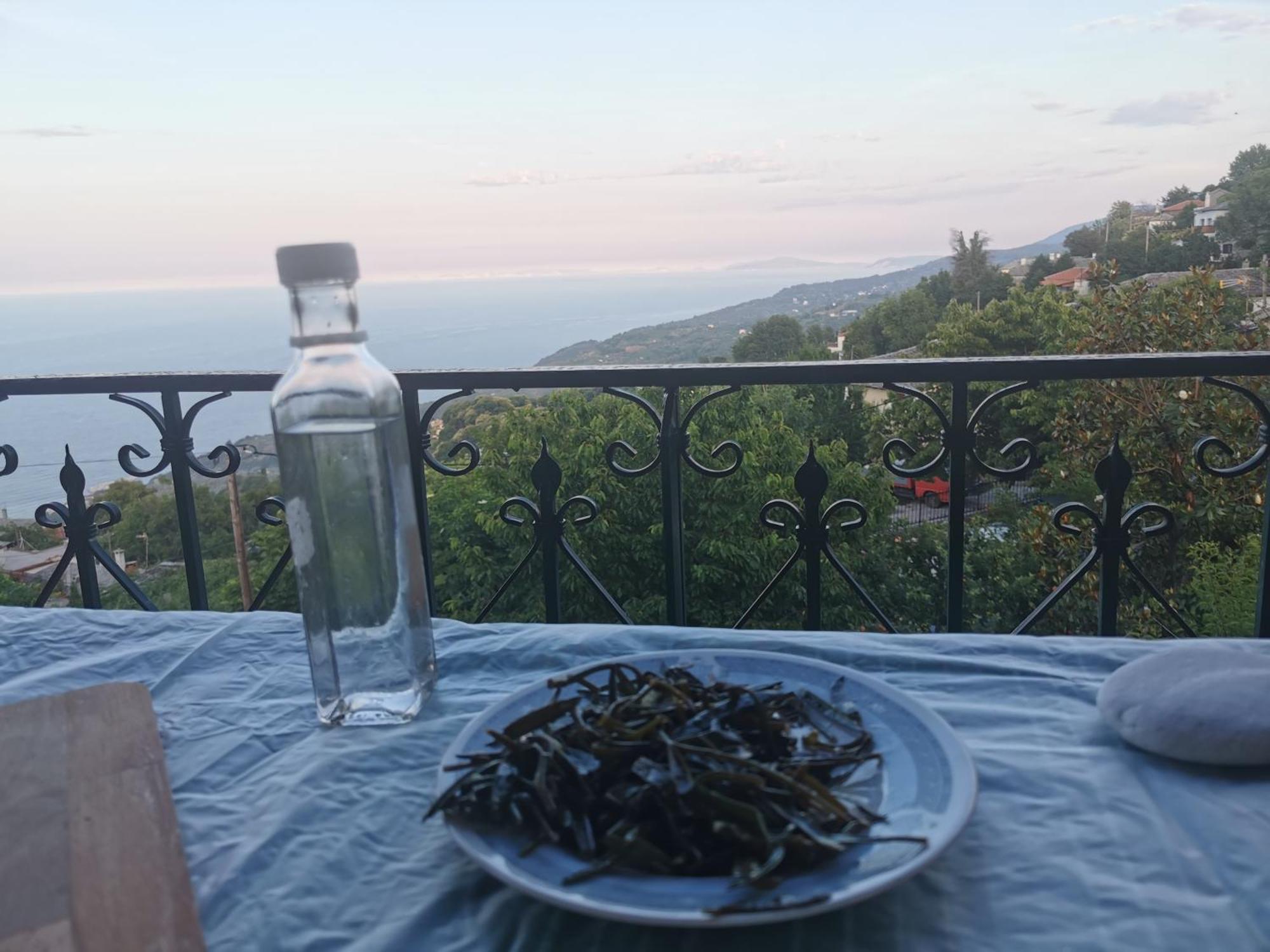 Guest House Pafili Zagorá Luaran gambar