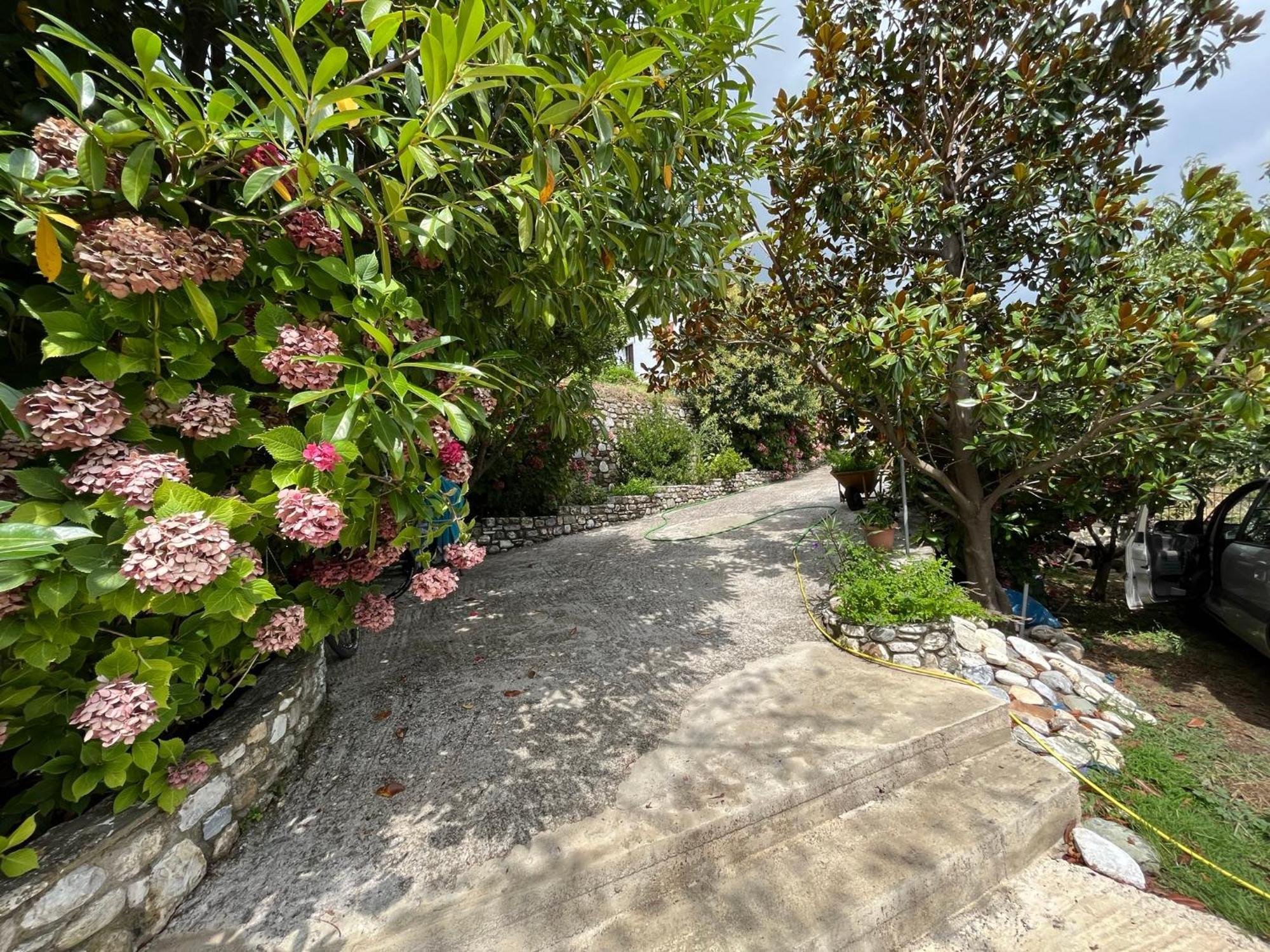 Guest House Pafili Zagorá Luaran gambar